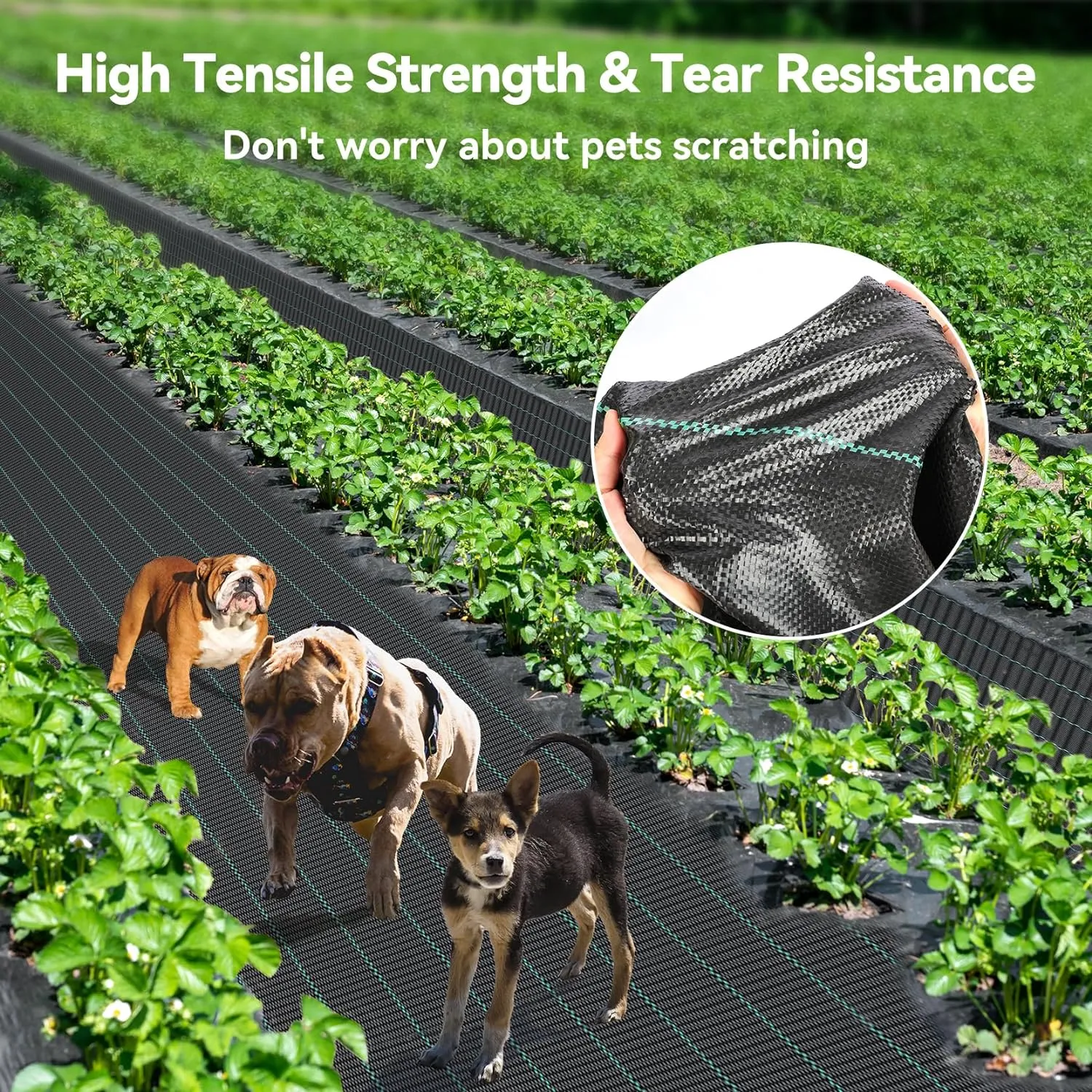 3ftx300ft Weed Barrier Landscape Fabric Heavy Duty, Woven Weed Control Cloth, Woven Geotextile Fabric for Underlayment, Gardening Ground, Commercial Driveway Weed Block Cover Mat