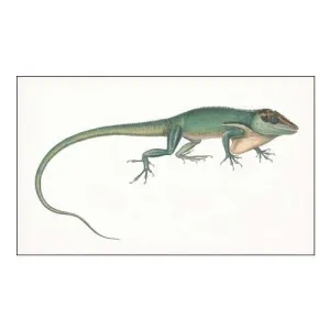 Antique Chameleon