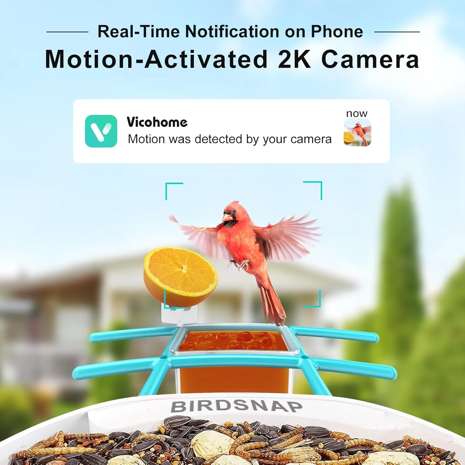 birdsnap® TUC Smart Bird Feeder with Camera 2K HD, Solar Panel 32GB Card 4-in-1 Perch, 160°View Auto Detect & Notify AI Identify Video Bird Camera Wireless Outdoors Ideal for Mom