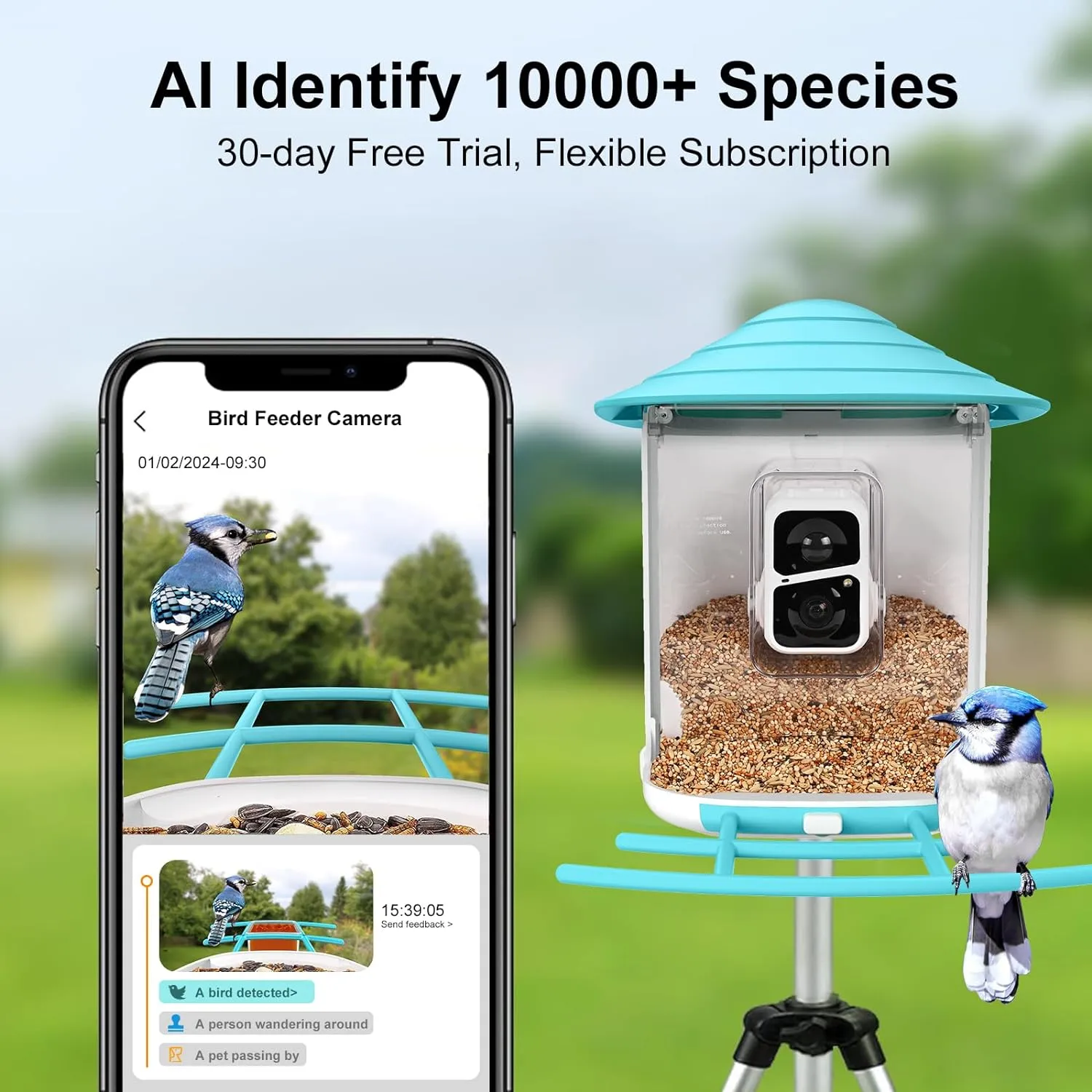 birdsnap® TUC Smart Bird Feeder with Camera 2K HD, Solar Panel 32GB Card 4-in-1 Perch, 160°View Auto Detect & Notify AI Identify Video Bird Camera Wireless Outdoors Ideal for Mom