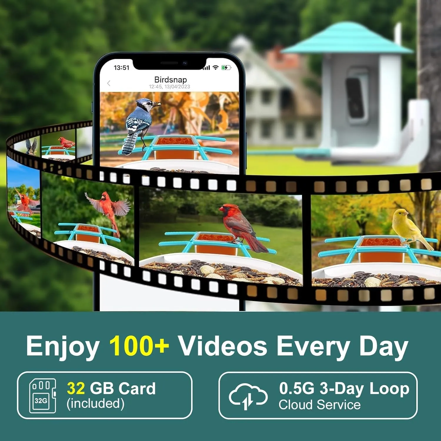 birdsnap® TUC Smart Bird Feeder with Camera 2K HD, Solar Panel 32GB Card 4-in-1 Perch, 160°View Auto Detect & Notify AI Identify Video Bird Camera Wireless Outdoors Ideal for Mom