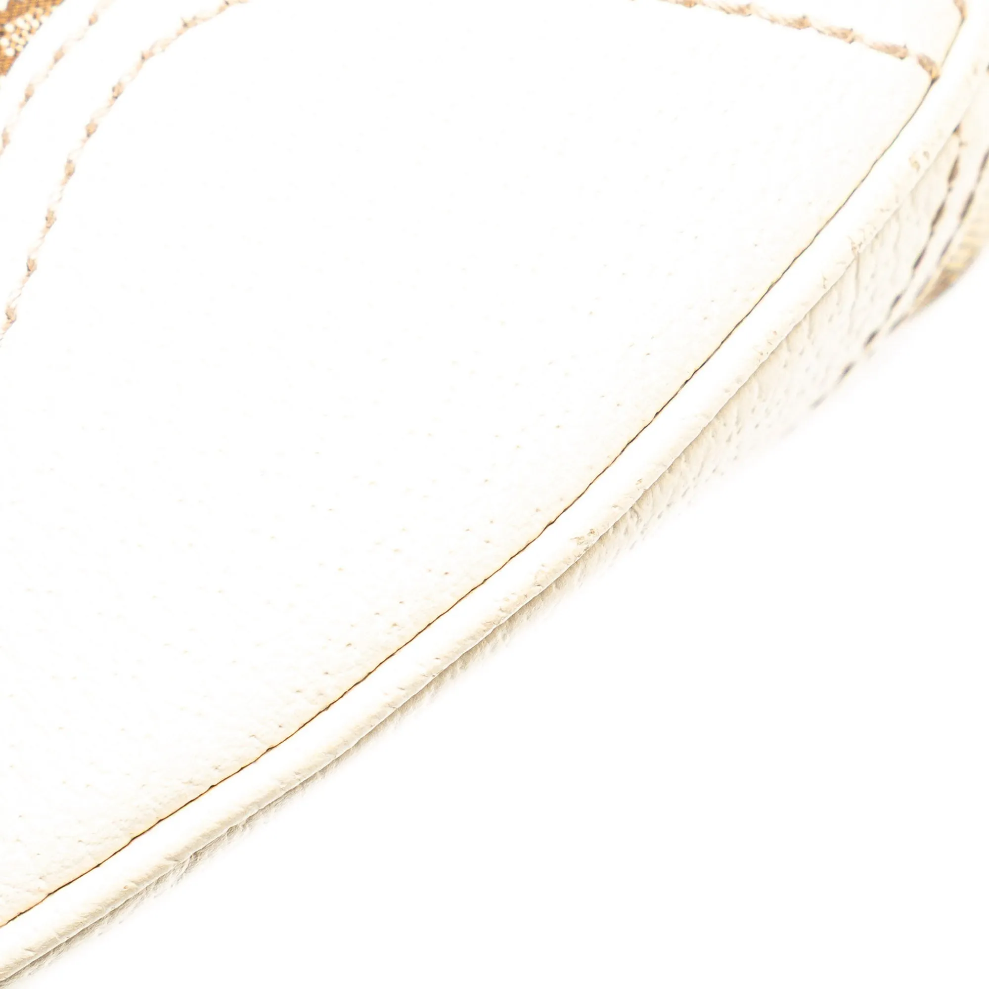 Brown Gucci GG Canvas Princy Hobo