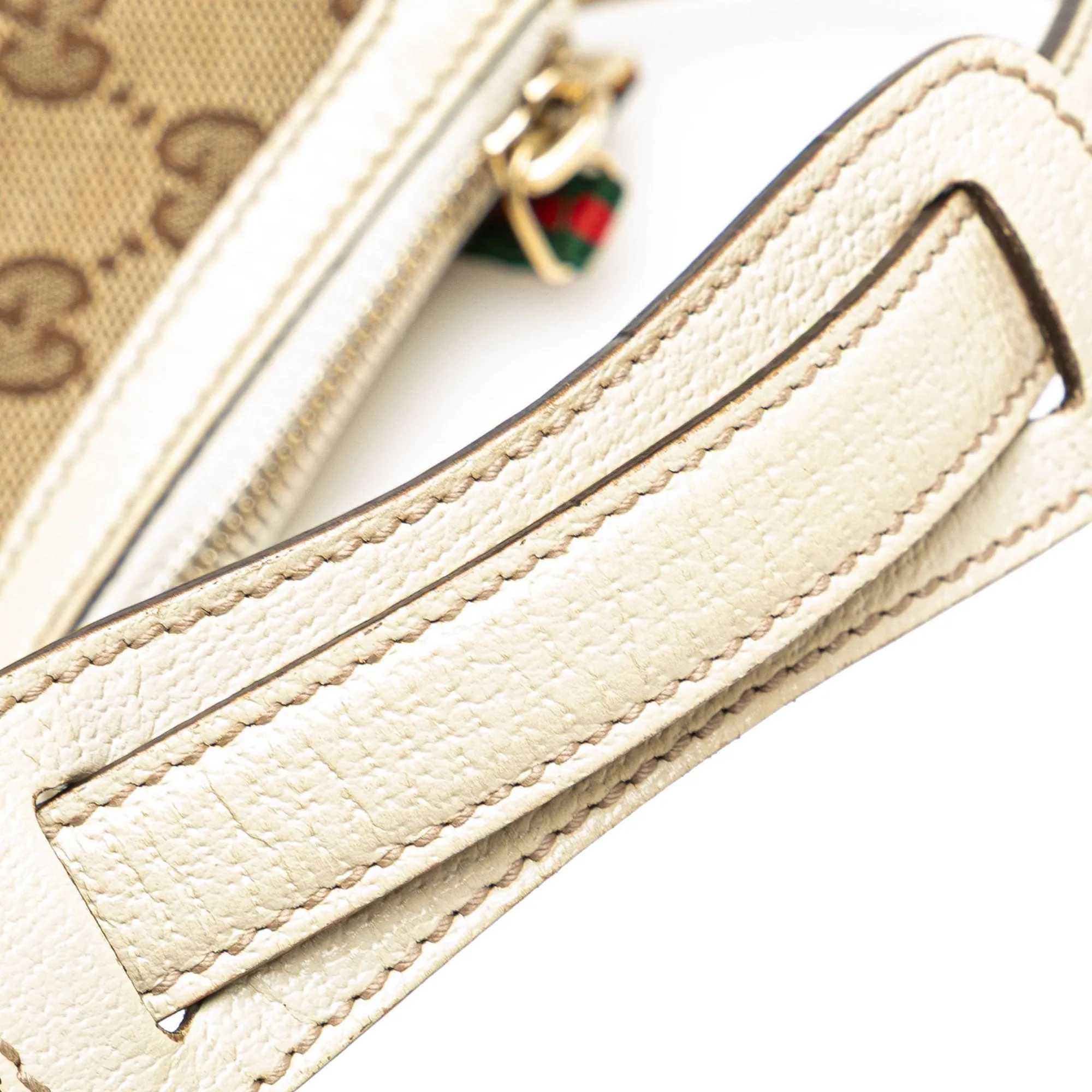 Brown Gucci GG Canvas Princy Hobo