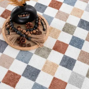 Checkered Multi Color Washable Area Rug