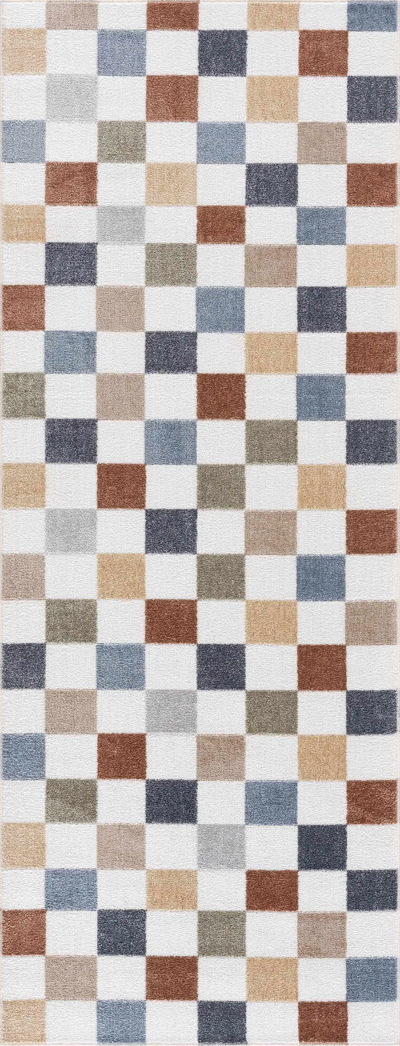Checkered Multi Color Washable Area Rug
