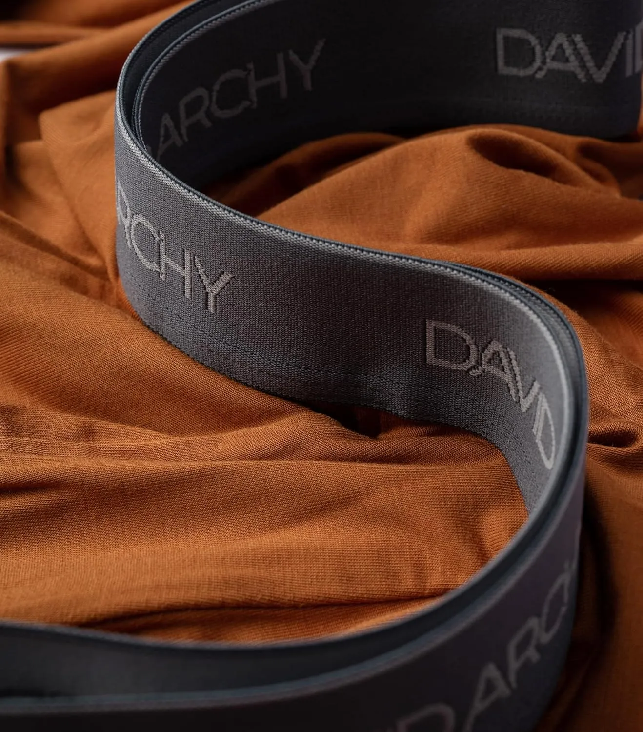 DAVID ARCHY Men's Briefs Rayon Made from Bamboo Underwear Comfort Fit Super Soft Comfort NO Fly Briefs 4 or 7 Pack