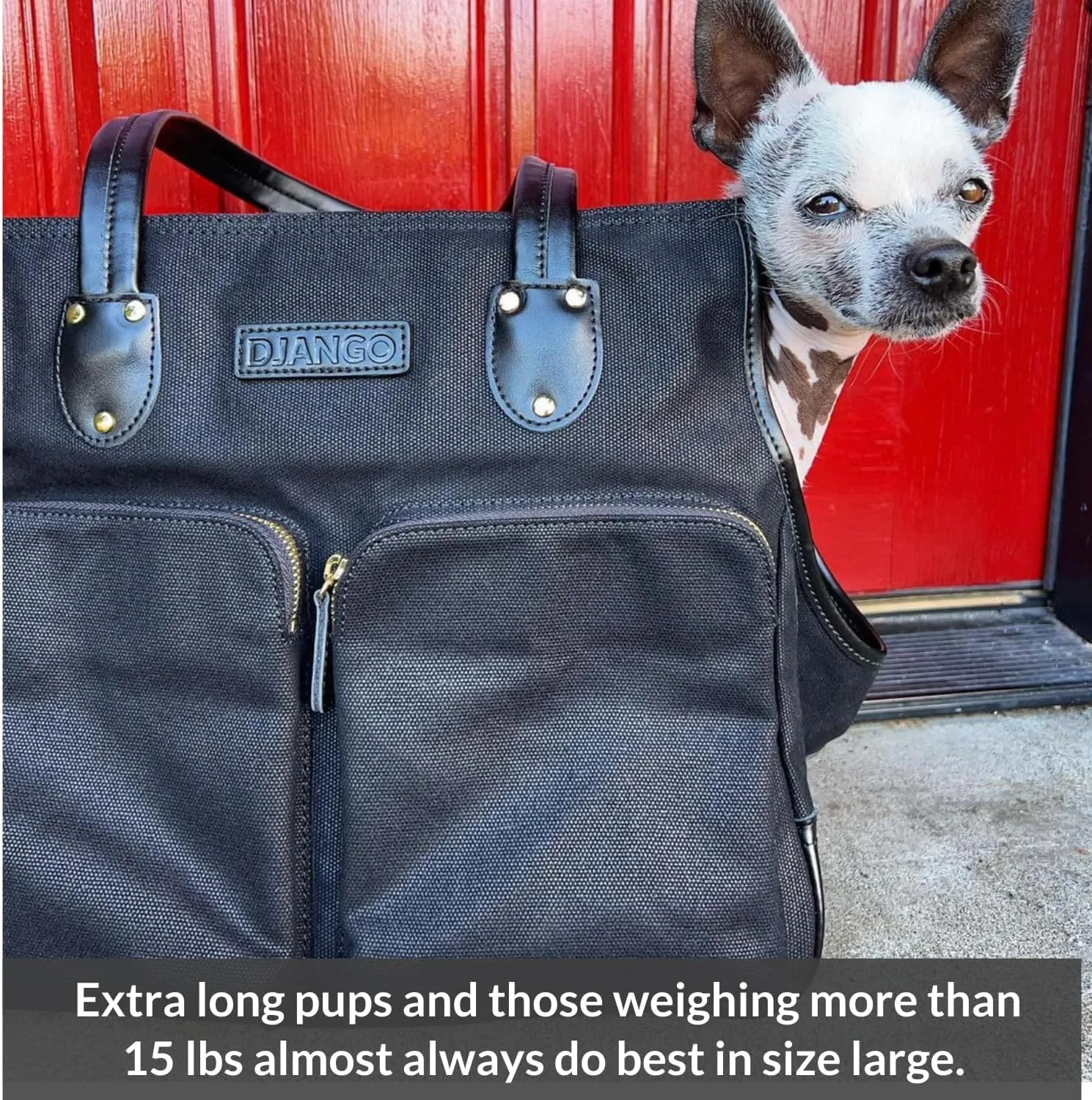 DJANGO Dog Carrier Bag Medium - Waxed Canvas and Leather Soft Dog Travel Carrier - Black Travel Tote Bag for Pets with Harness Safety Tether, Secure Zipper Pockets, and Water-Resistant Lining