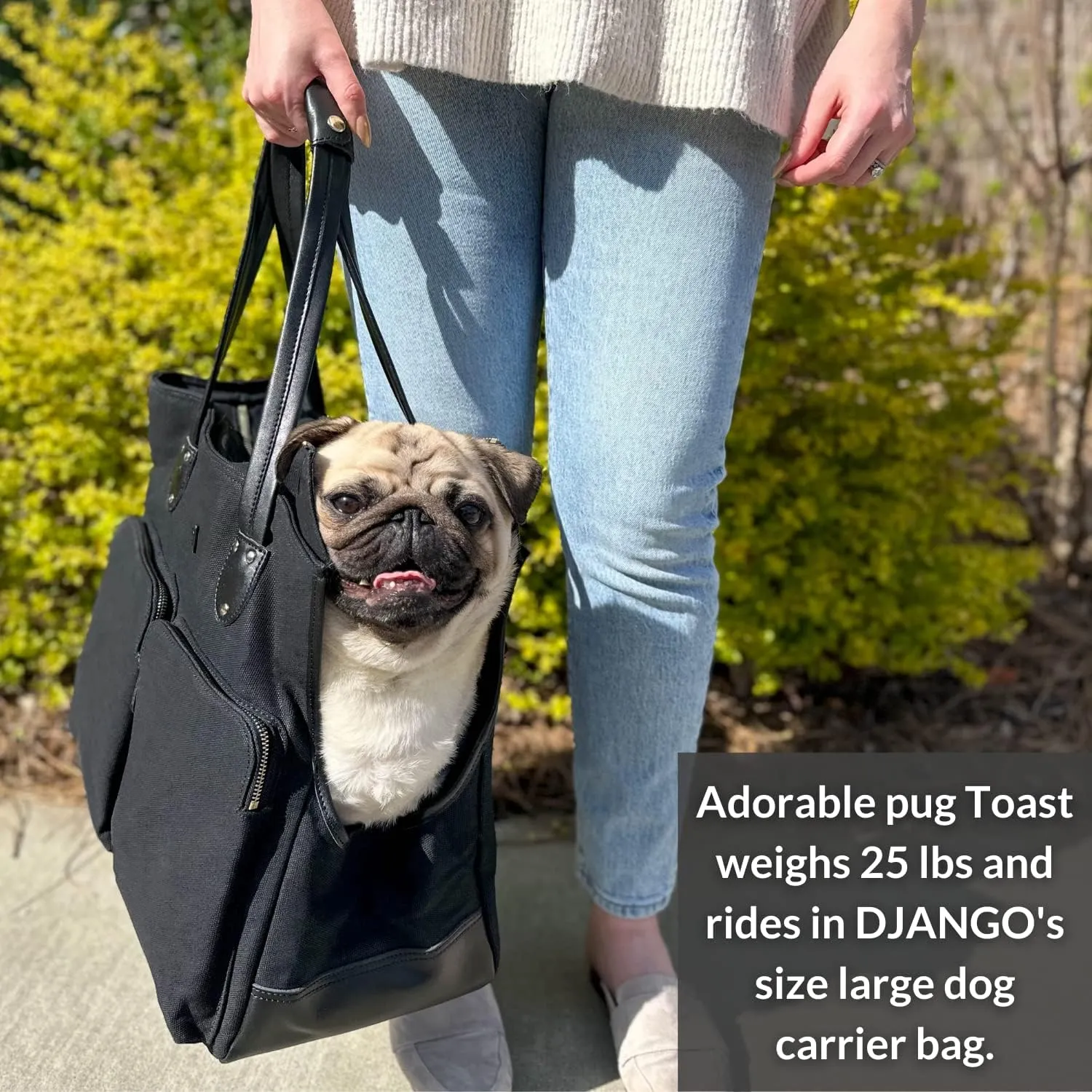 DJANGO Dog Carrier Bag Medium - Waxed Canvas and Leather Soft Dog Travel Carrier - Black Travel Tote Bag for Pets with Harness Safety Tether, Secure Zipper Pockets, and Water-Resistant Lining