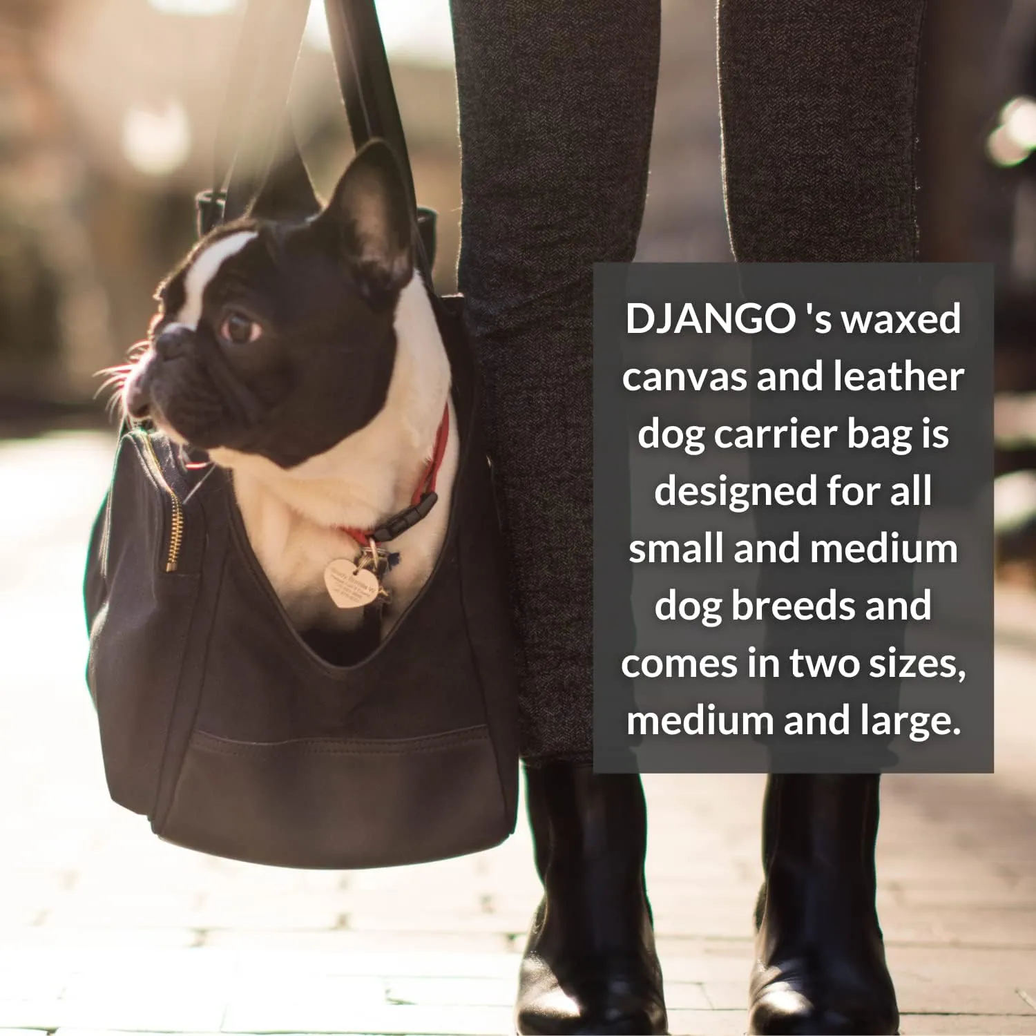 DJANGO Dog Carrier Bag Medium - Waxed Canvas and Leather Soft Dog Travel Carrier - Black Travel Tote Bag for Pets with Harness Safety Tether, Secure Zipper Pockets, and Water-Resistant Lining