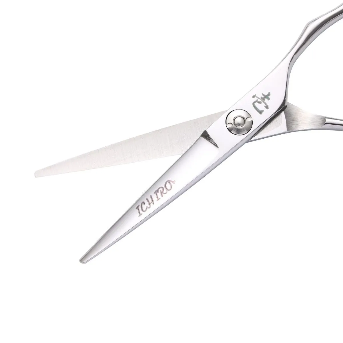 Ichiro Ergo Serrated Hairdressing Scissor Master Set