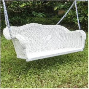 International Caravan Furniture Piece Resin Wicker Hanging Loveseat Swing