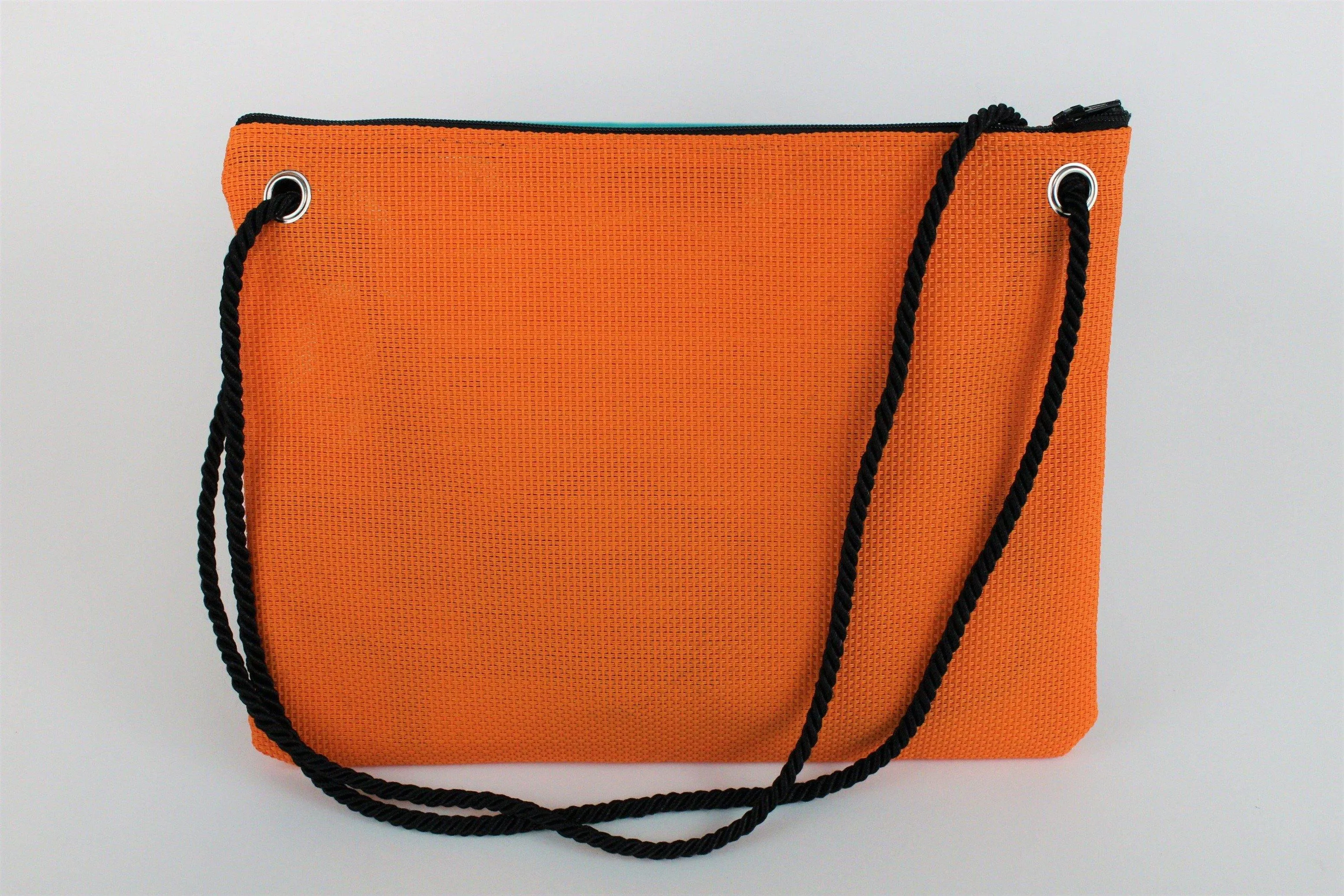 Larissa Multi Color Striped Handbag
