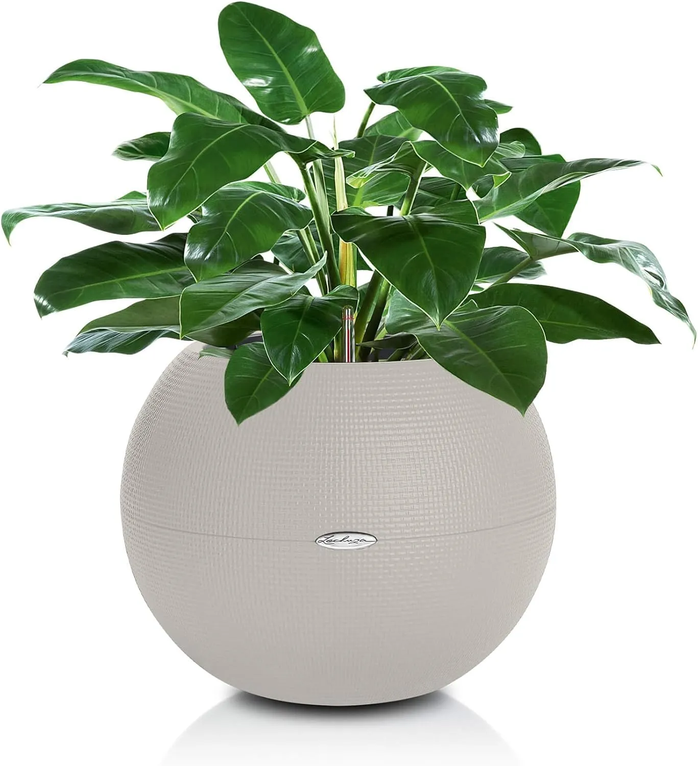 Lechuza 13348 Puro Color 50 Self-Watering Planter for Indoor and Outdoor Use, 19.5" × 15.5", Sand Brown