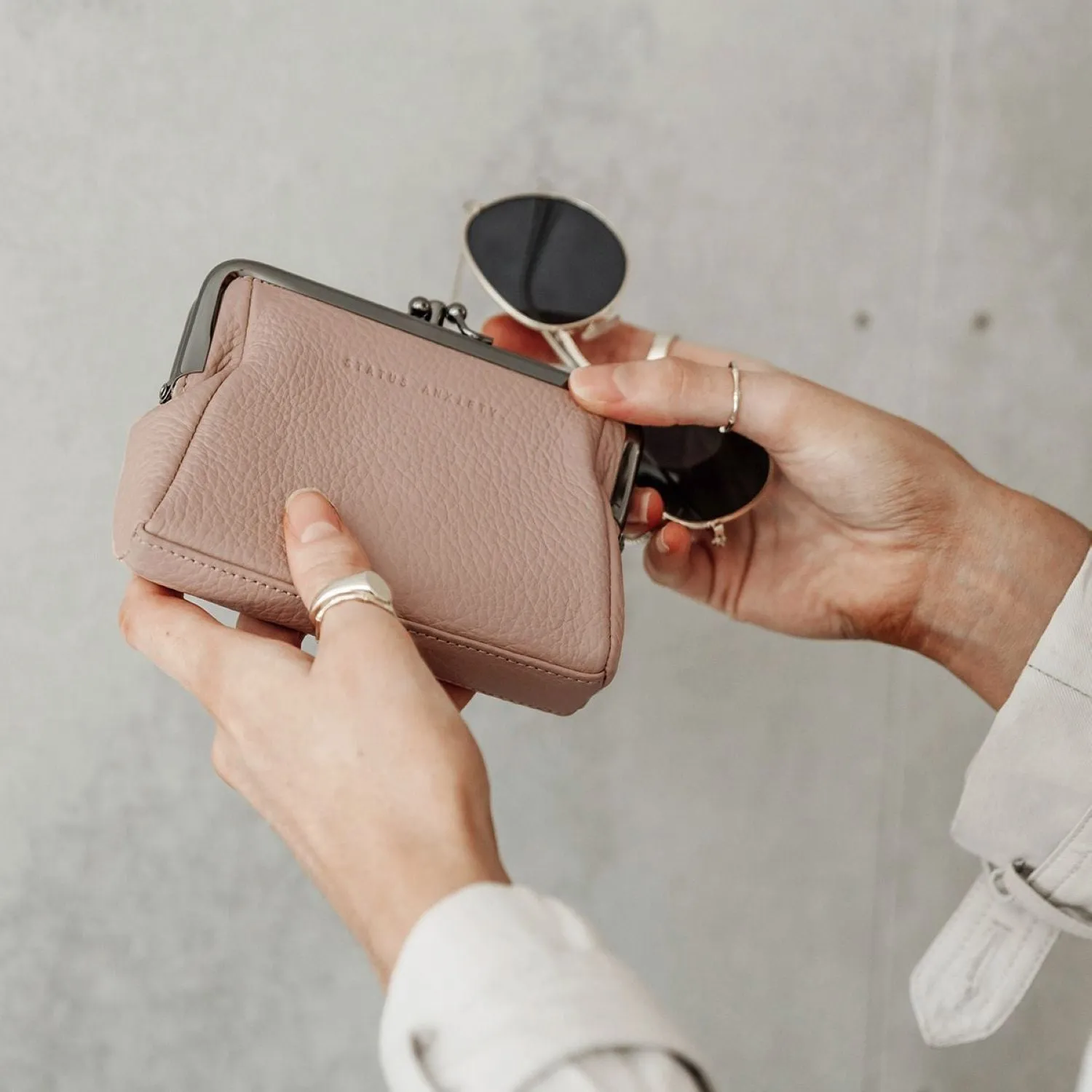 Status Anxiety Volatile Clasp Frame Leather Purse