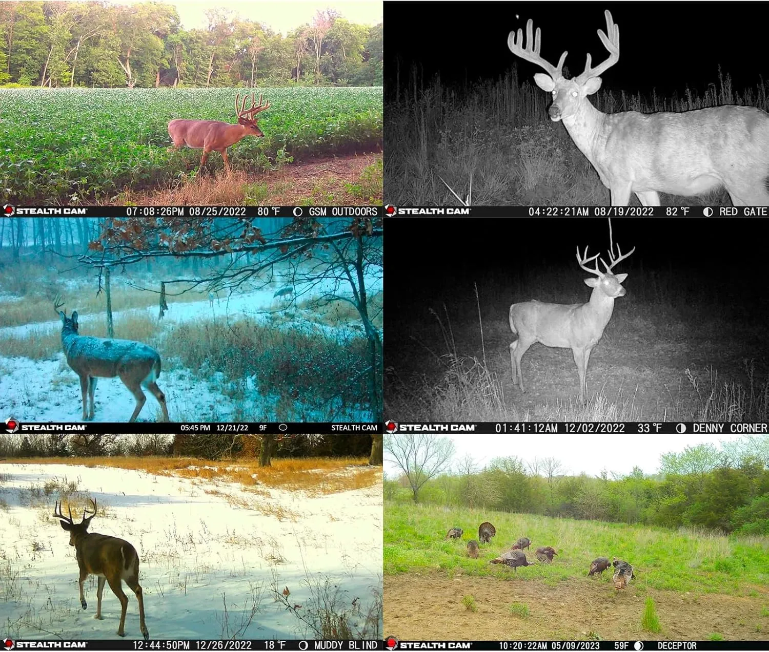 Stealth Cam Deceptor IR 80ft Detection & IR Range 40MP Photo 1440P at 30FPS HD Video Capture Remote App Contol Wireless Hunting Cellular Trail Camera - Available on AT&T & Verizon
