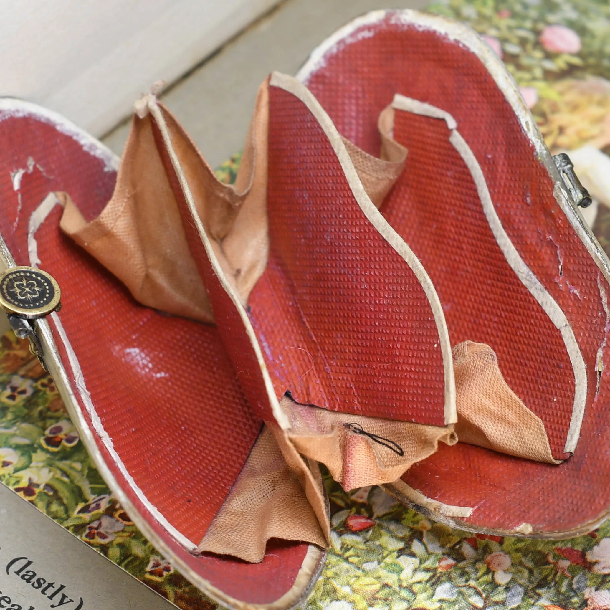 Victorian Oyster Shell Purse